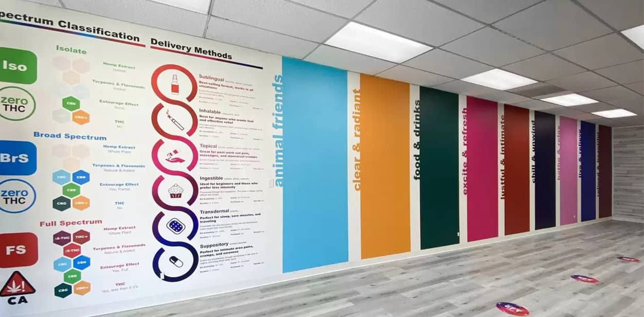 Informational feature wall with colorful graphics