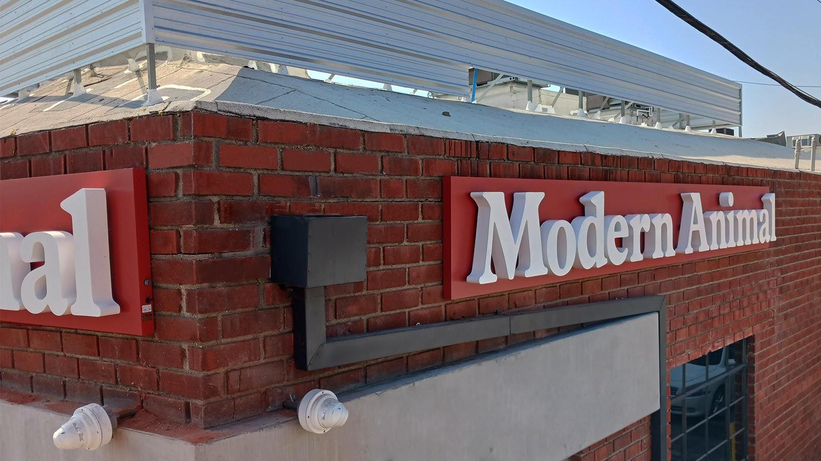 Modern Animal 3D sign installed outdoors