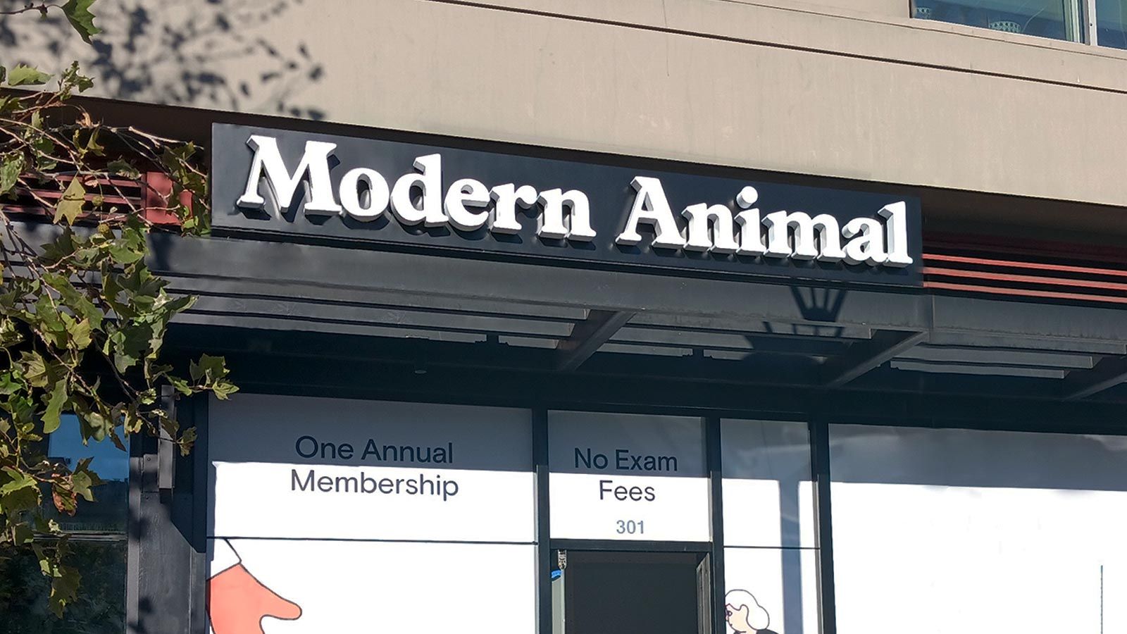 Modern Animal backlit letters attached to the facade