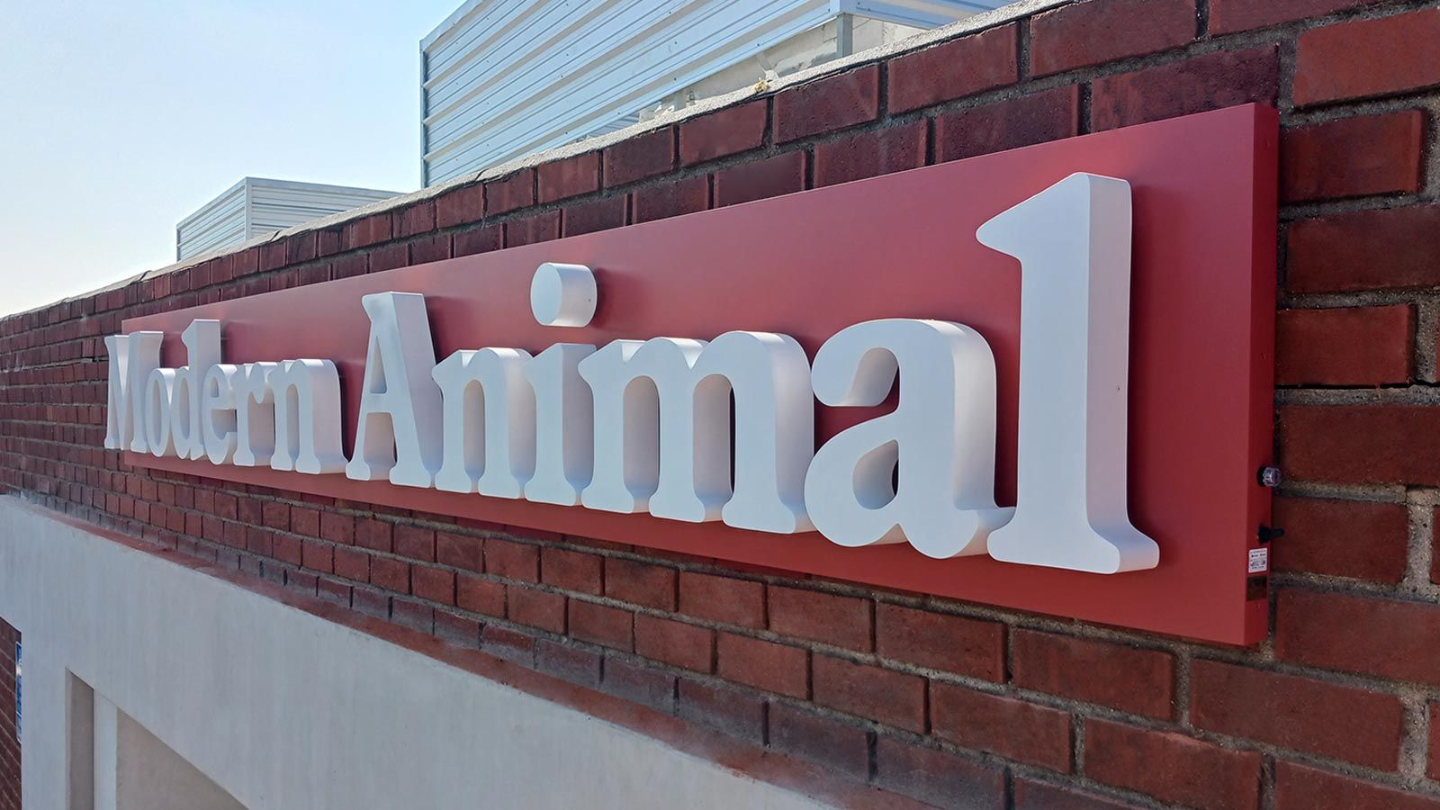Modern Animal backlit letters for branding