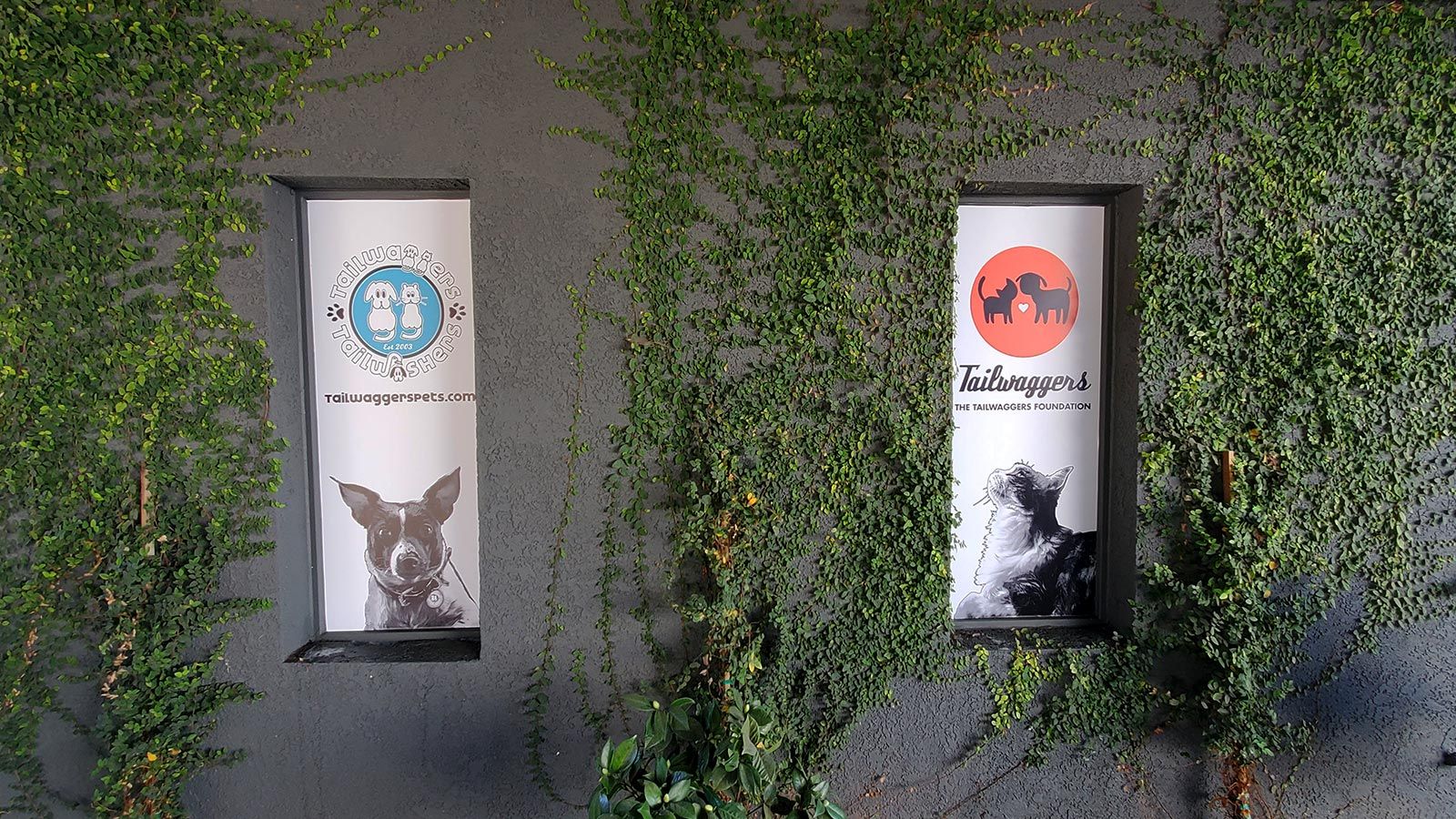 Tailwaggers window decals for exterior branding