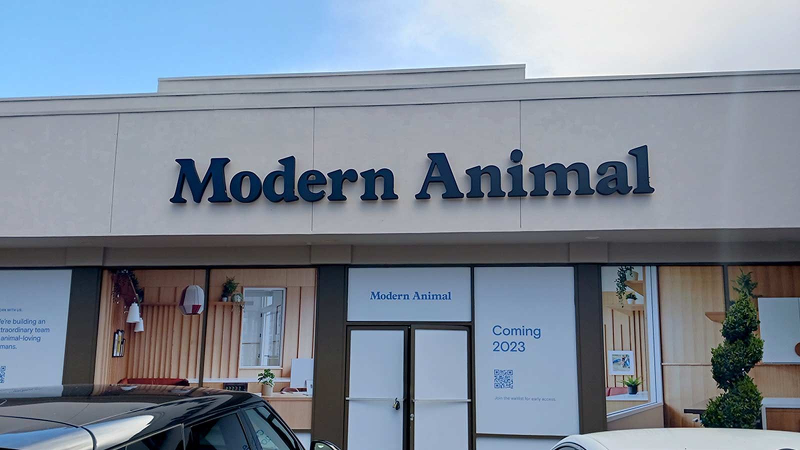 Modern Animal backlit letters attached to the storefront