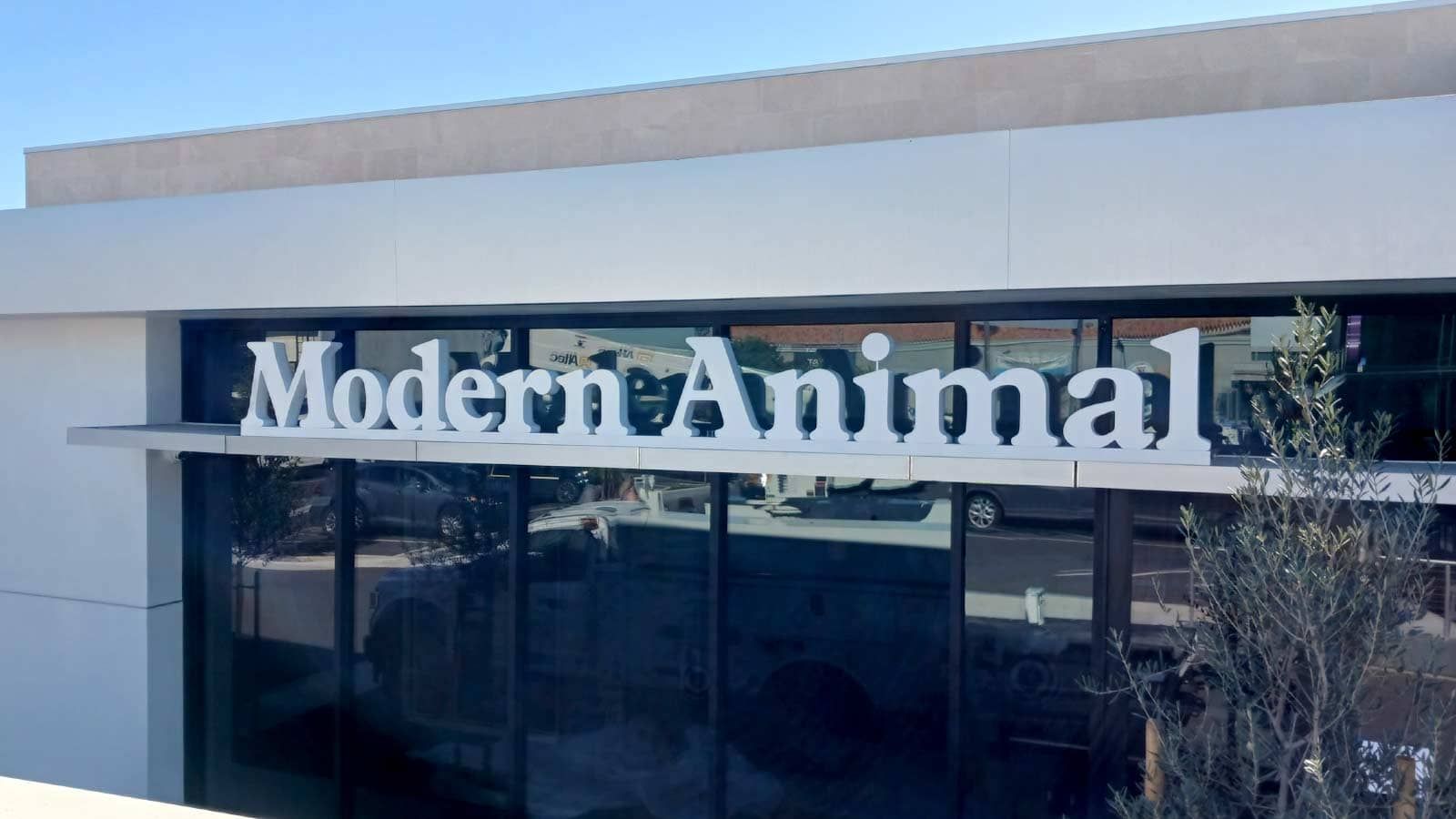 Modern Animal reverse channel letters attached to the facade