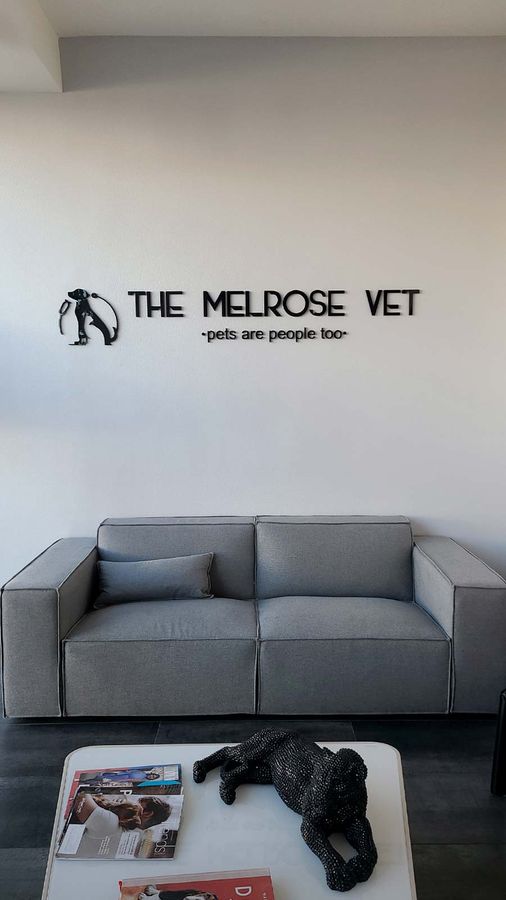 The Melrose Vet acrylic sign mounted on the lobby wall