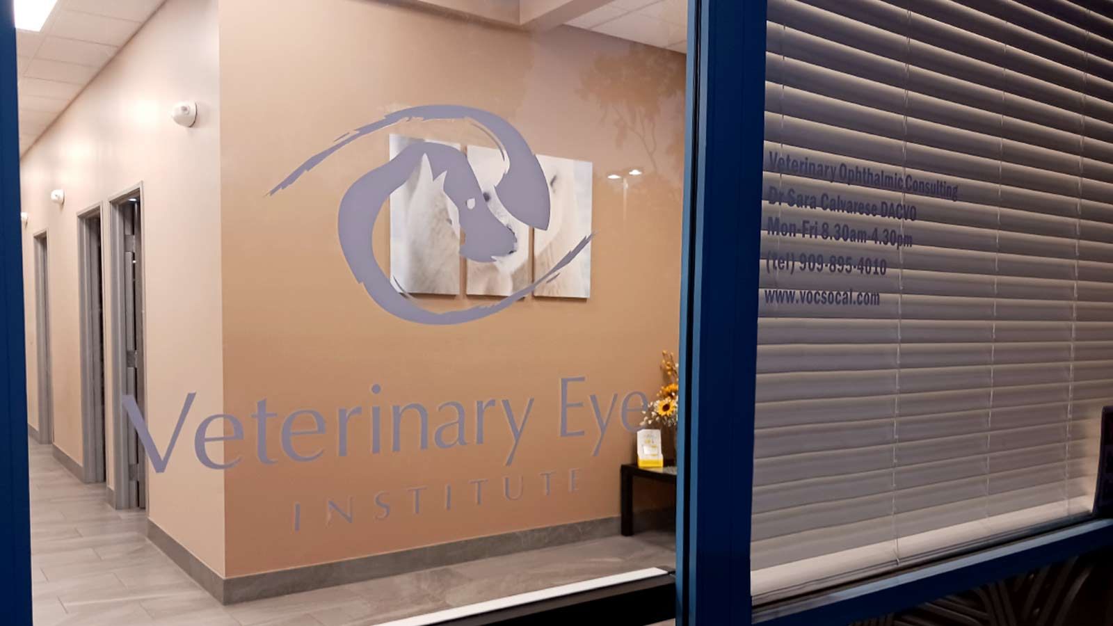 Veterinary Eye Institute window decal for branding