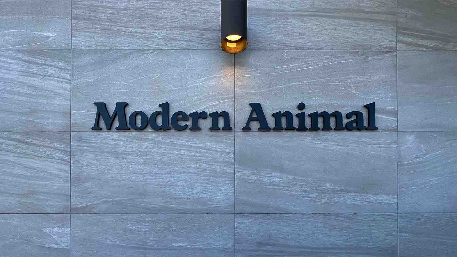 Modern Animal 3D sign mounted on the wall