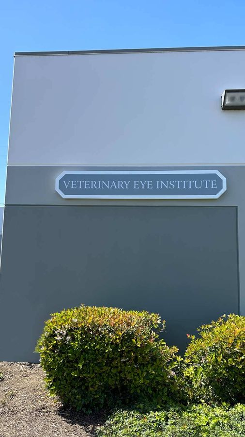 Veterinary Eye Institute building sign installed on the wall