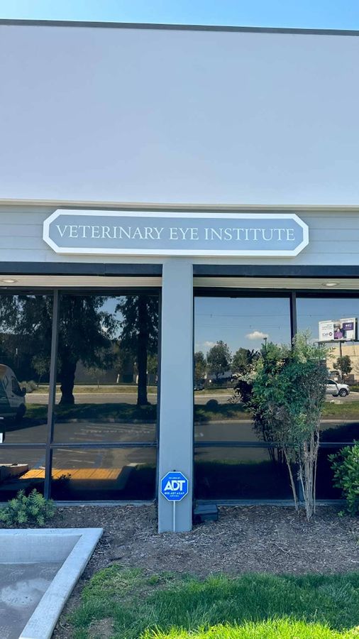 Veterinary Eye Institute cabinet sign attached to the facade