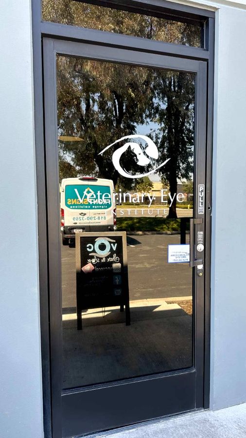 Veterinary Eye Institute vinyl lettering on the storefront