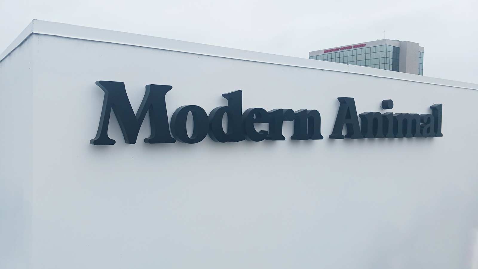 Modern Animal 3D sign mounted on the building