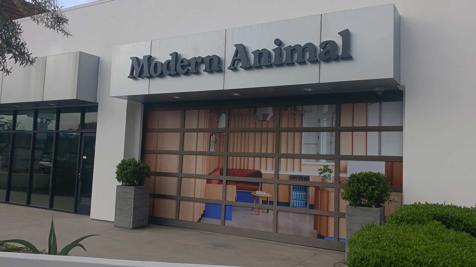 Modern Animal backlit letters mounted on the facade