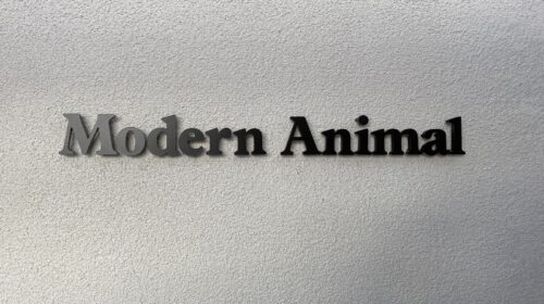 modern animal pin mounted acrylic letters