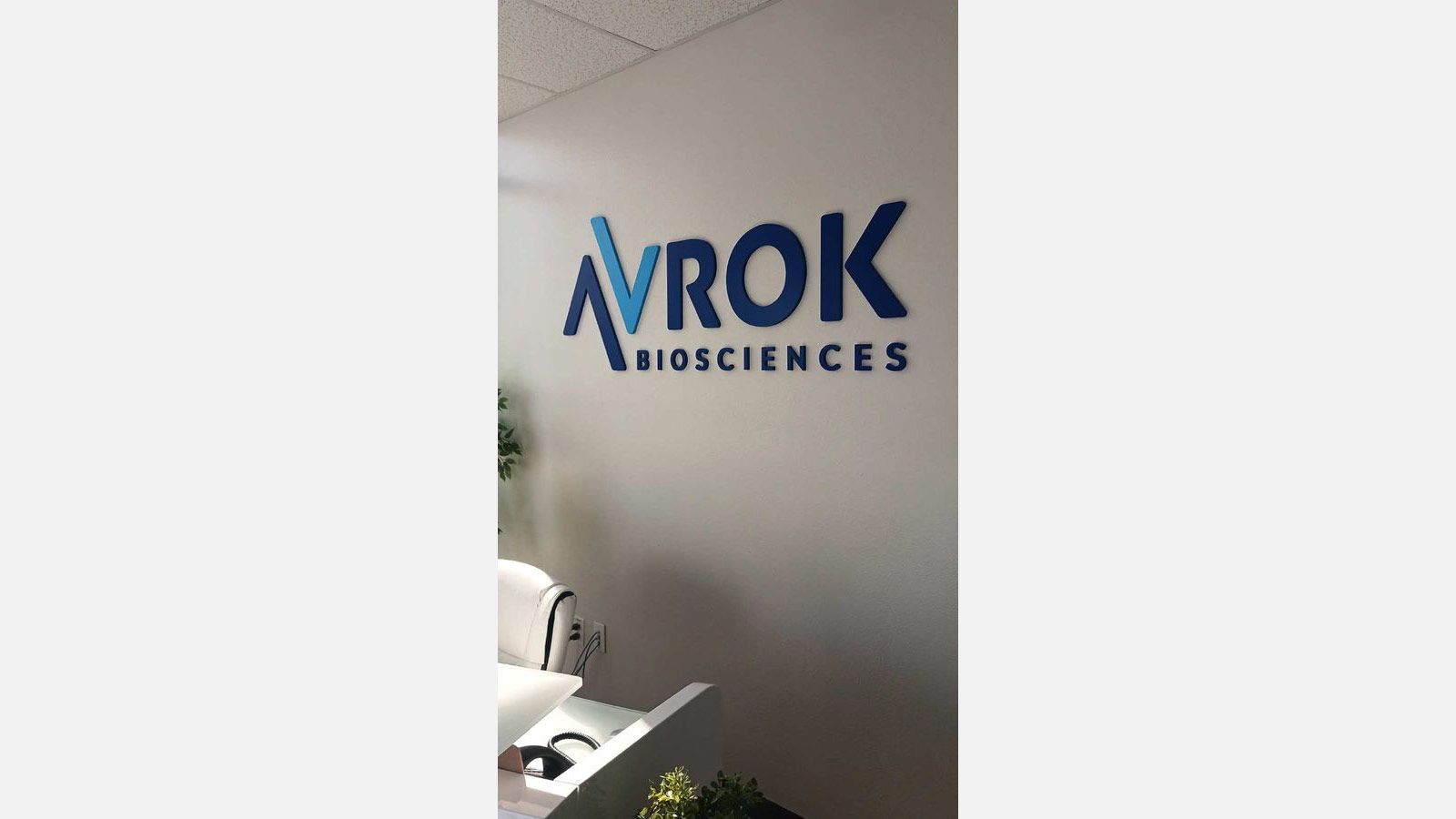 Avrok Biosciences 3D letters attached to the wall