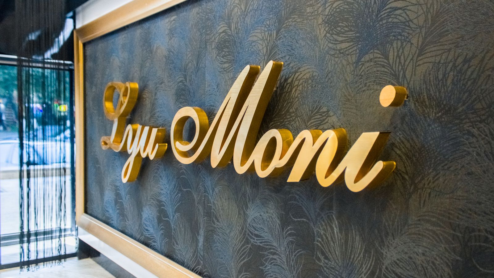 lyu moni pin mounted letters