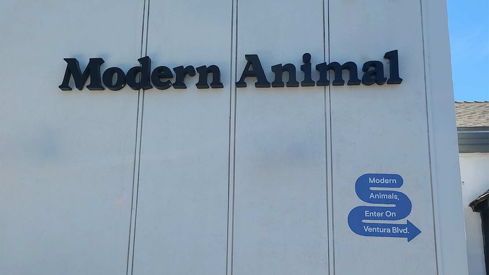 Modern Animal wall signs installed on the building