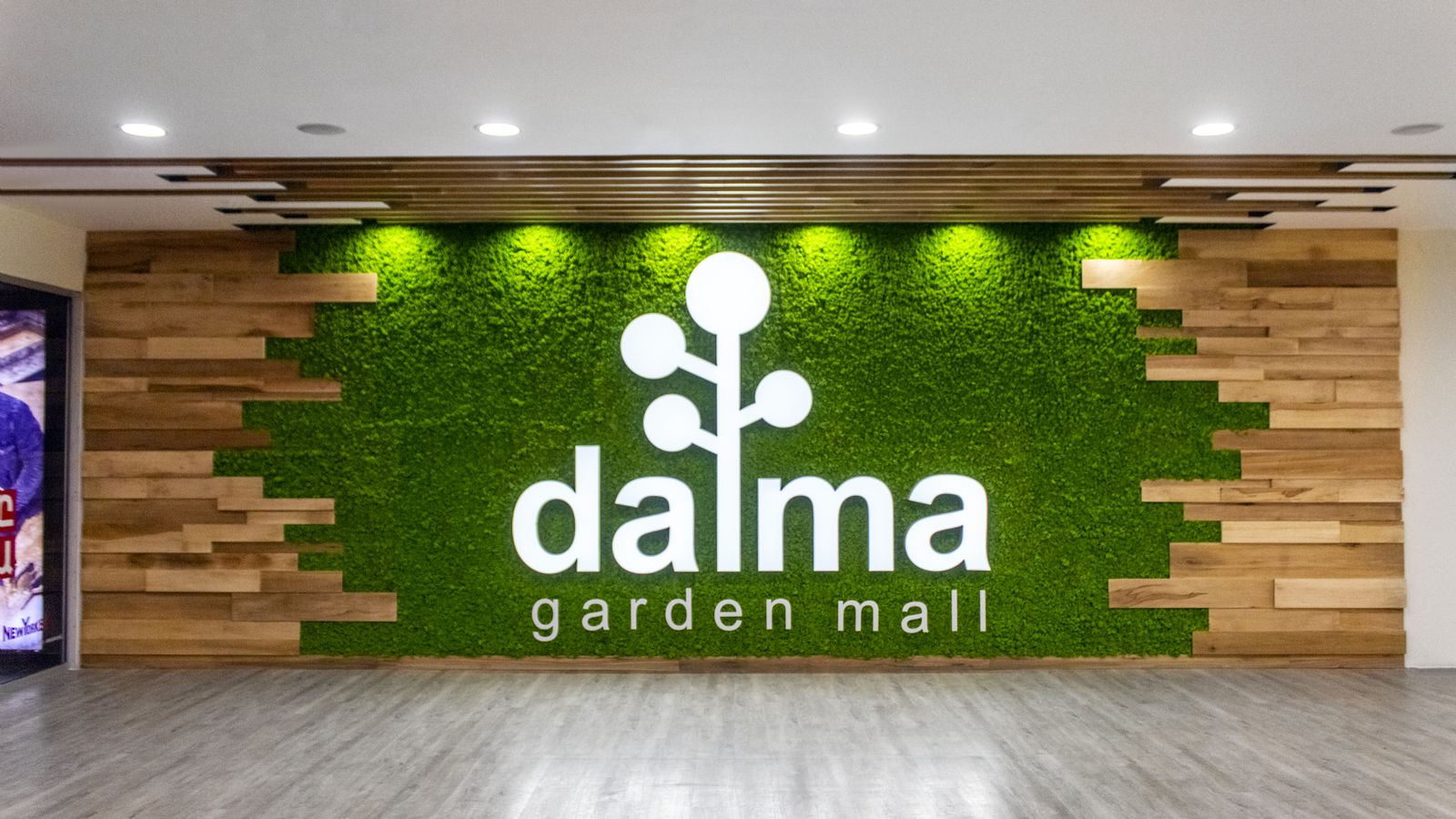 dalma custom illuminated letters