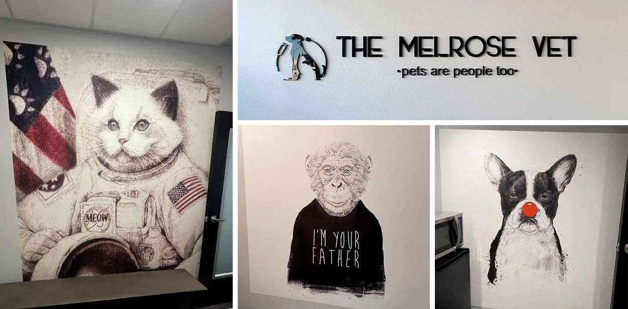The Melrose Vet branding design with the brand's logo and slogan and images of diverse animals