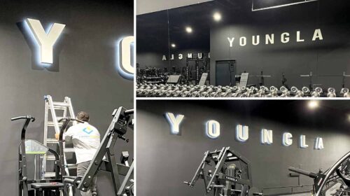 youngla gym signs mounted on the walls