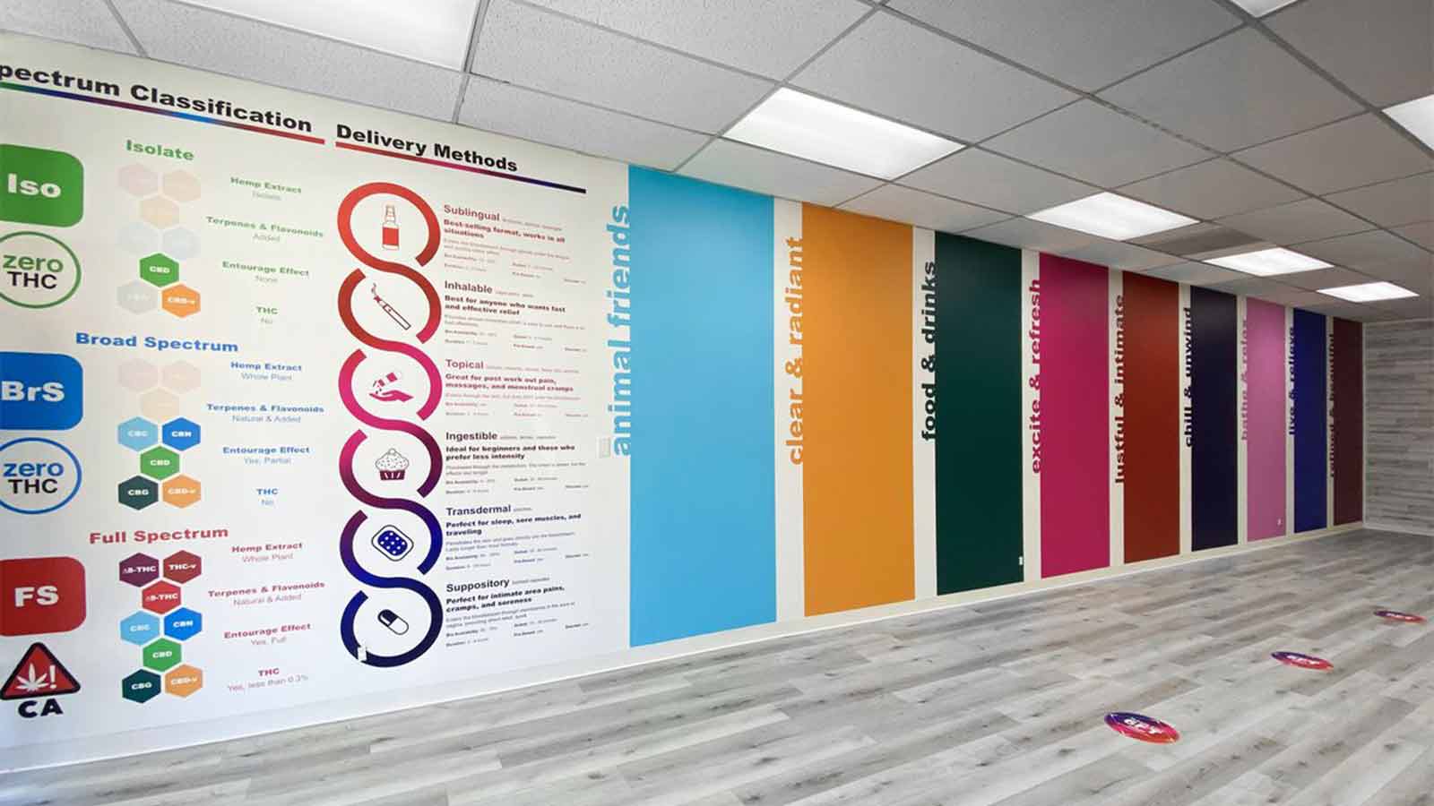 colorful indoor wall and floor decals