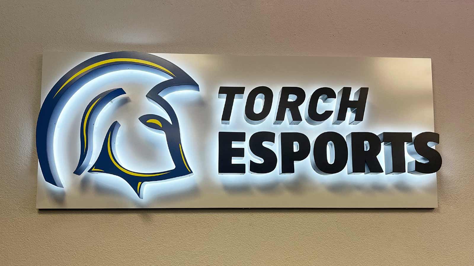 striking backlit display mounted on the wall