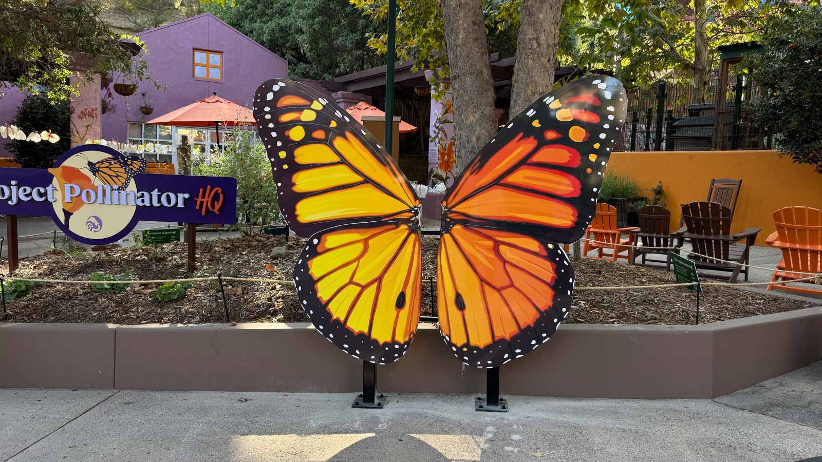 los angeles zoo butterfly aluminum sculpture outdoors