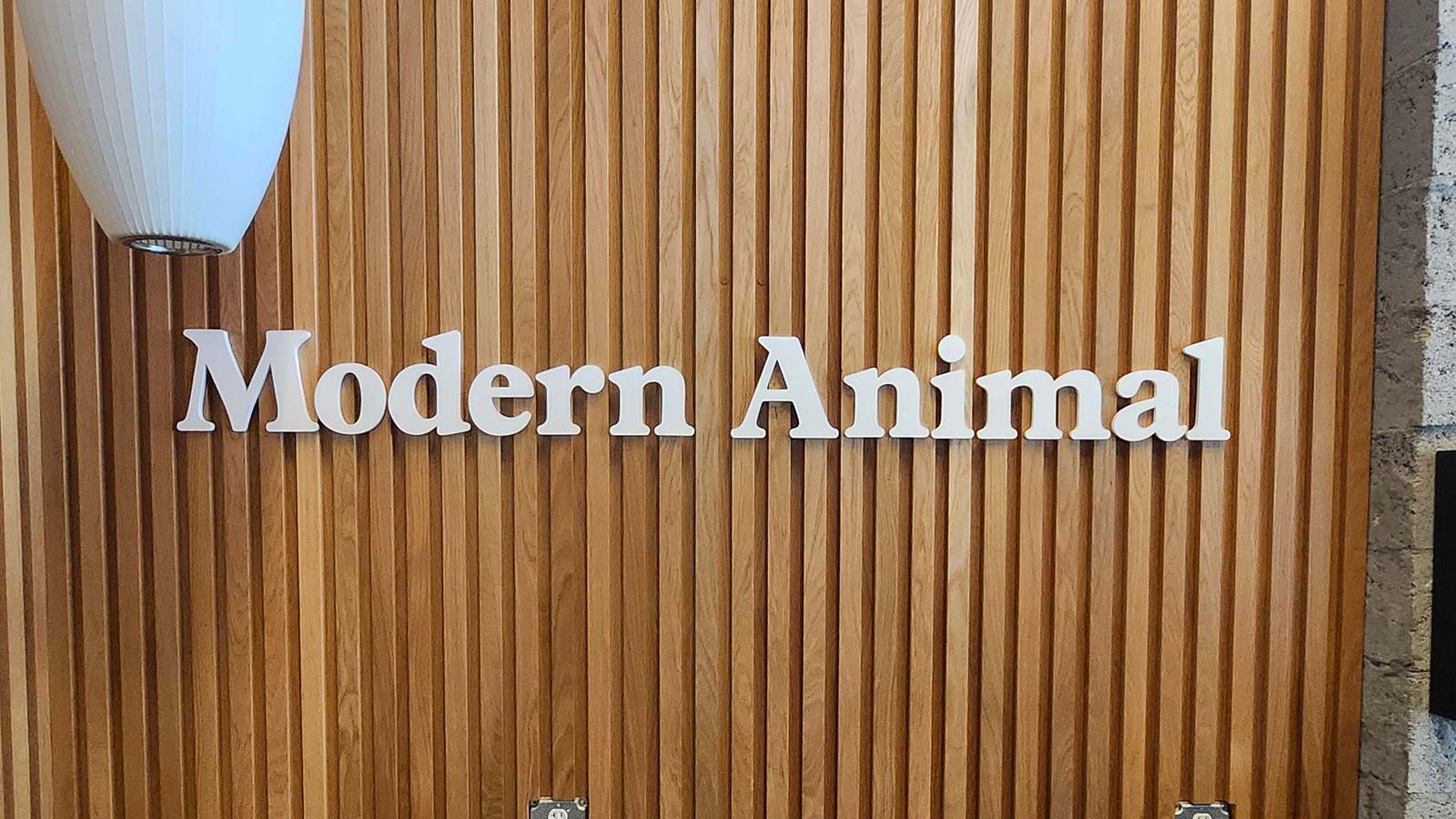 modern animal acrylic letters relocated to new office