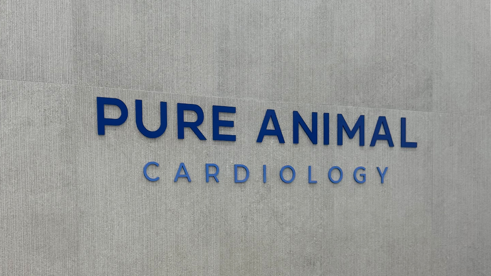 pure animal cardiology acrylic letters on stone wall